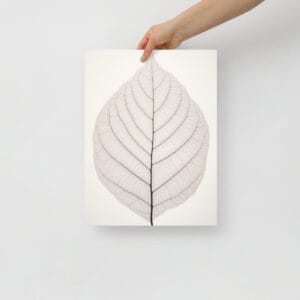 Chrysoclea Radiance - Leaf Patterns in Light White and Gray